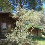 Bed & Breakfast Mas Les Micocouliers Saint-Christol-lès-Alès