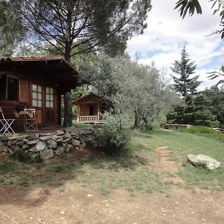 Bed & Breakfast Mas Les Micocouliers