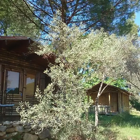 Bed & Breakfast Mas Les Micocouliers Saint-Christol-lès-Alès
